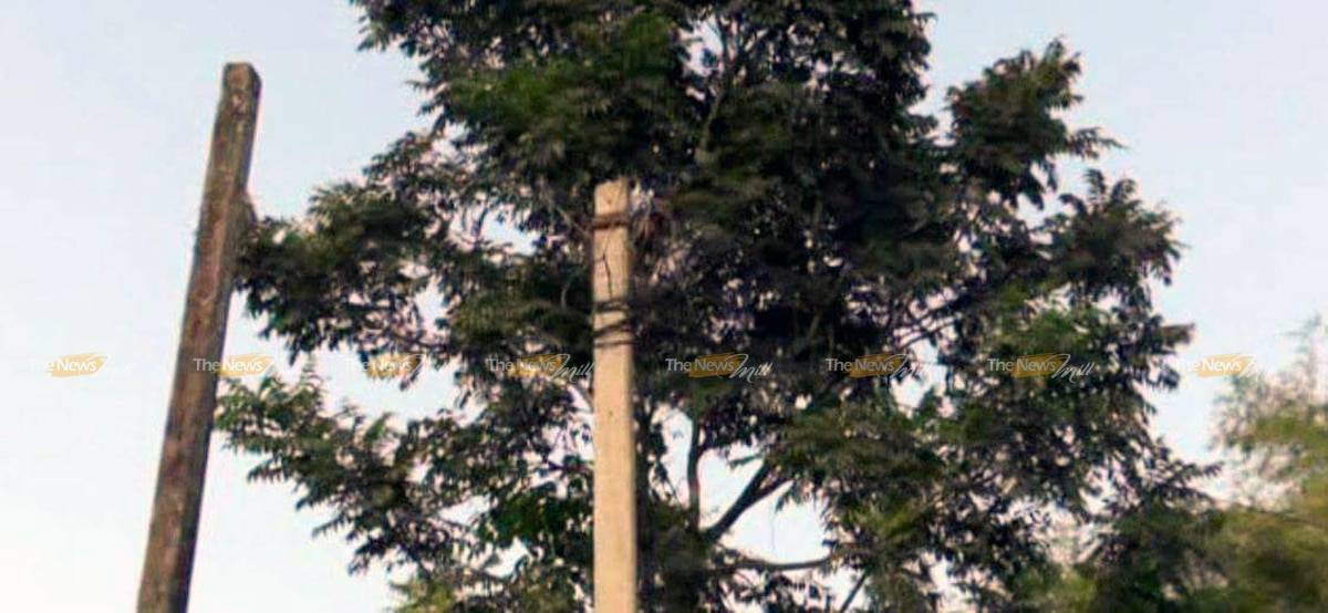 Assam Electricity Bluff 1 – The News Mill