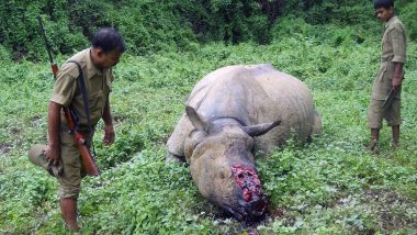 At least 184 rhinos killed in Kaziranga during DFO Mahat Talukdar’s tenure