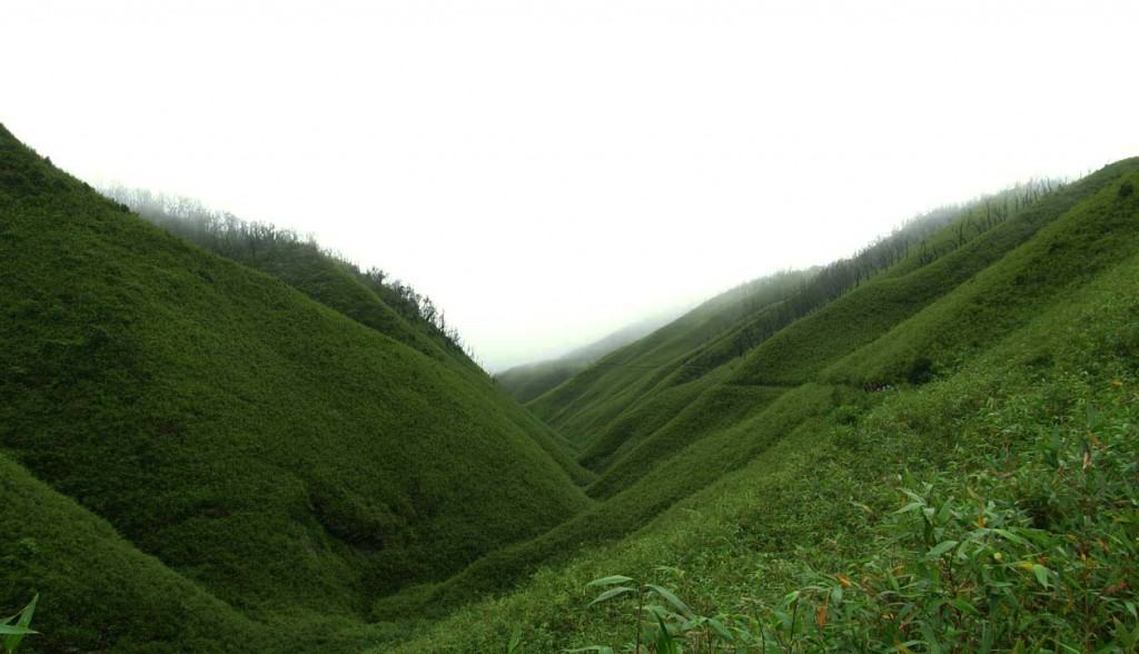Amazing Dzukou Valley in Nagaland