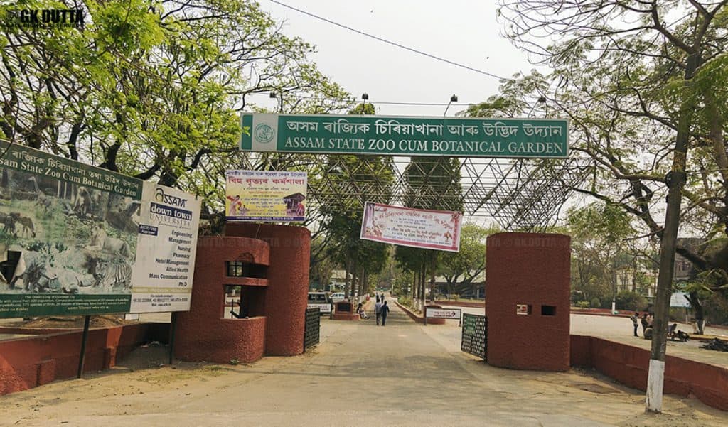 Assam State Zoo cum Botanical Garden 2 – The News Mill