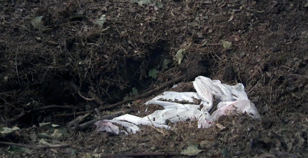 Mutilated body of unidentified female found near Kamakhya temple – The News Mill