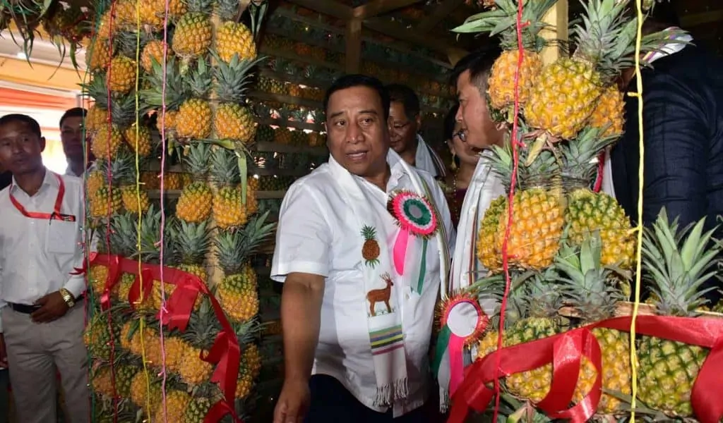 State Level Pineapple Festival at Thambalnu Market in Manipur – The News Mill