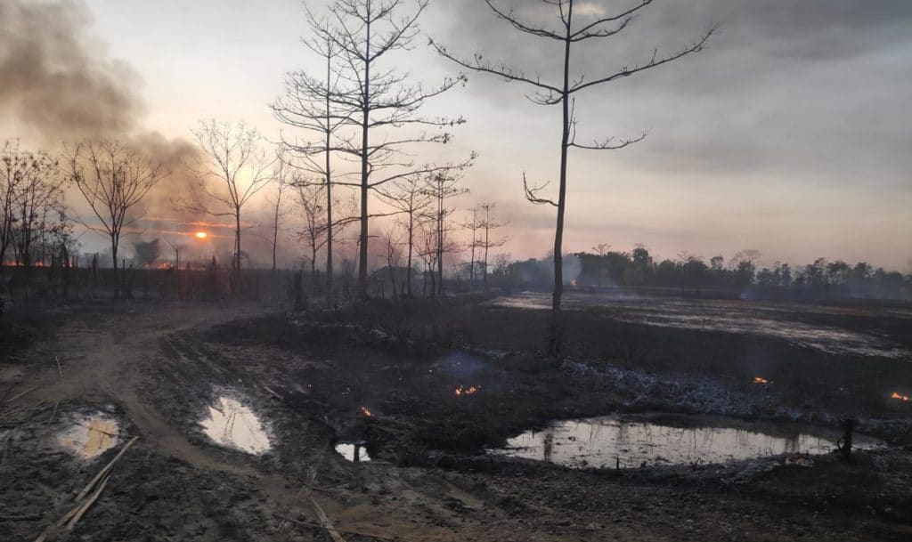 Baghjan OIL leak and fire Impact on Environment – The News Mill