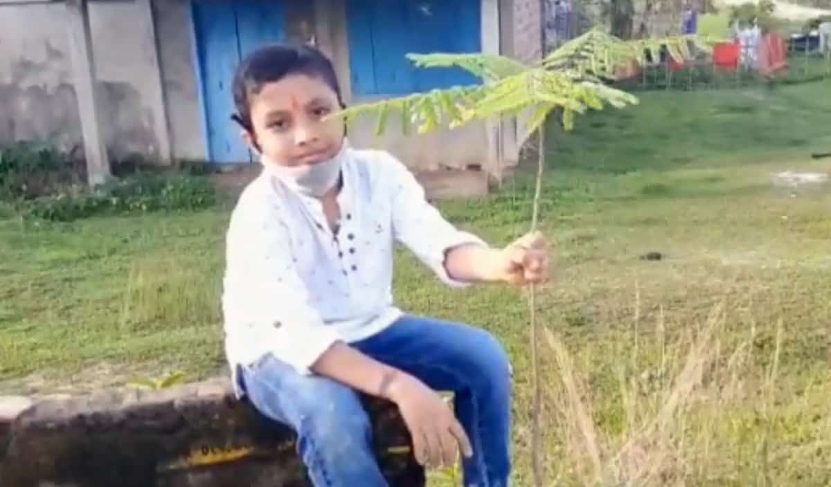 9-year-old Assam boy starts drive to plant 1000 saplings