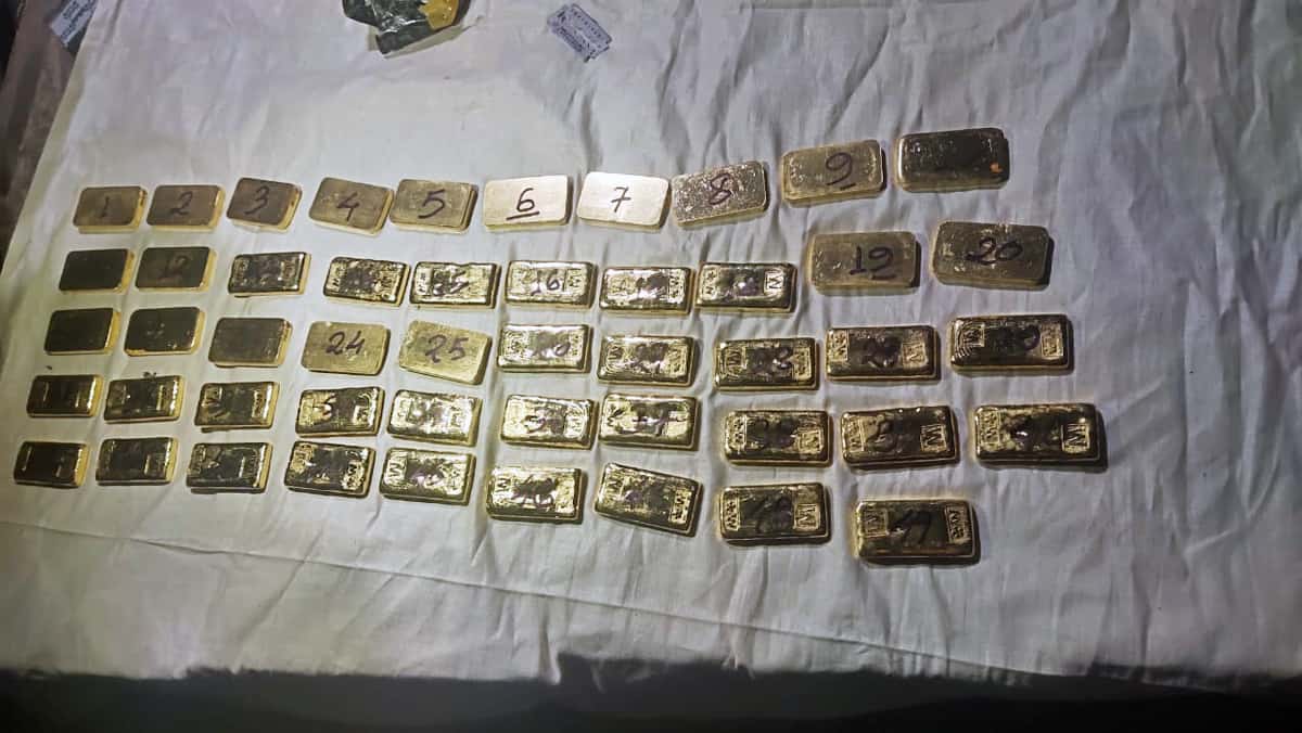 49 gold bars weighing 8 kg worth Rs 4 crore recovered in Assam, two arrested