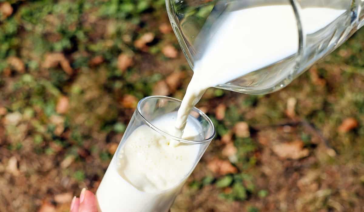 sikkim milk