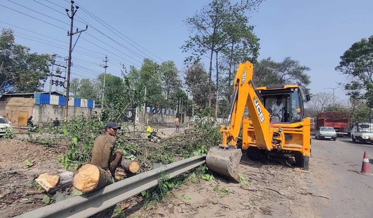 Citizens’ group urges Assam CM to stop felling of trees in Guwahati