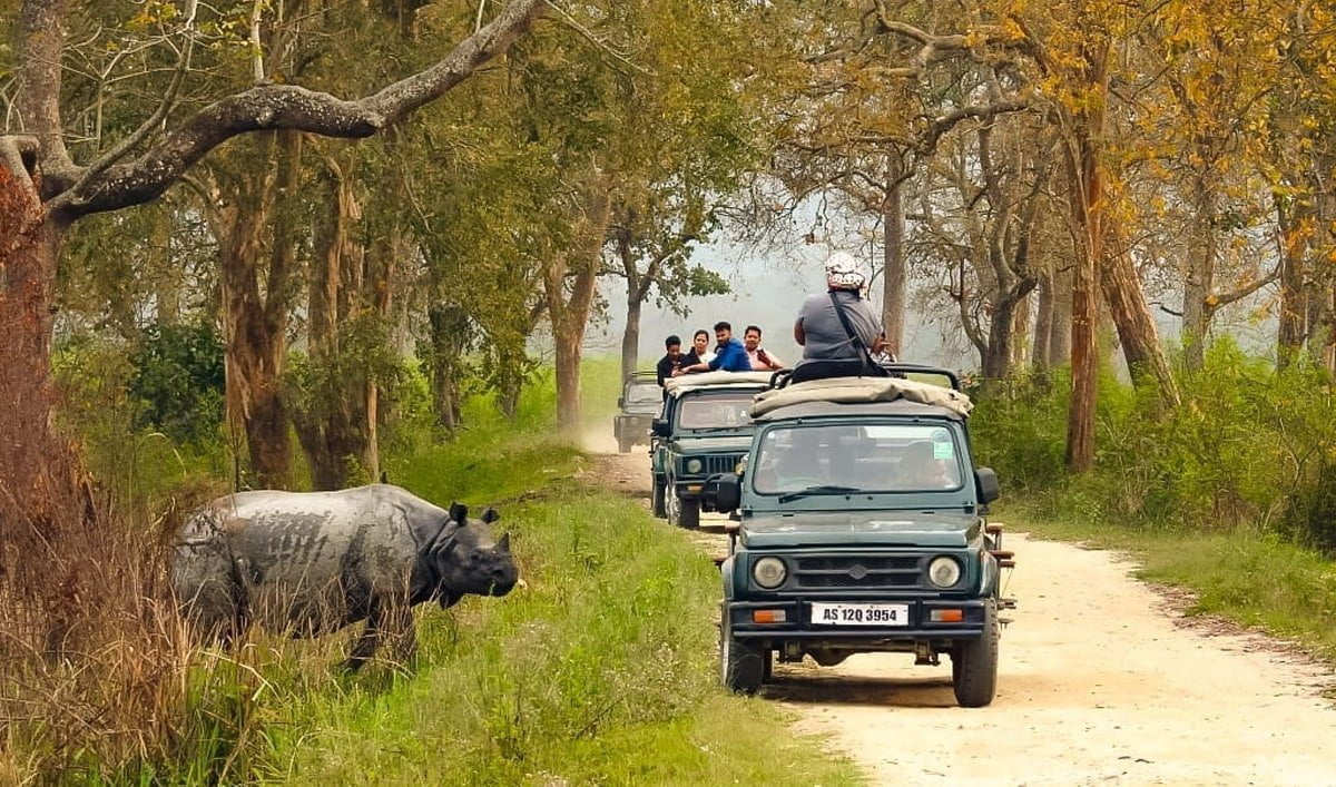 Kaziranga National Park tourism