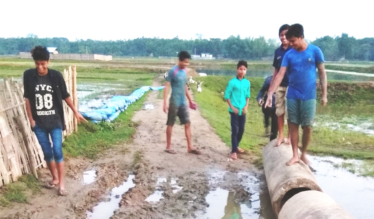 Way to Bashdahar (1) village in Hailakandi district of Assam