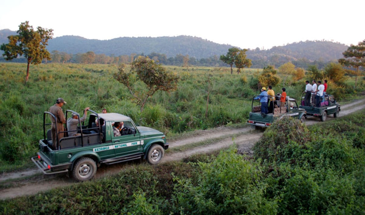 Kaziranga National Park jeep safari