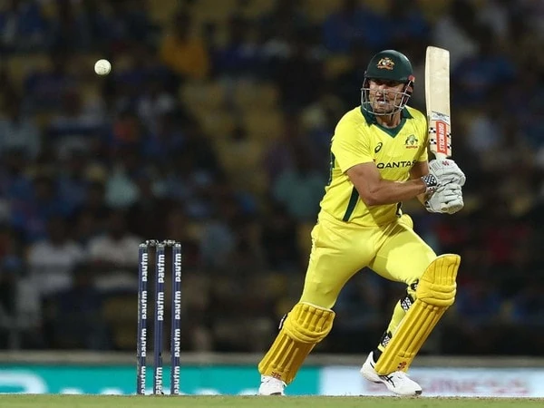 australia all rounder marcus stoinis ruled out of west indies t20i series – The News Mill
