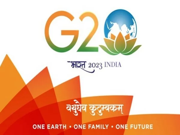 indias presidency hopes to provide new strength direction to g20 talks mea jpg – The News Mill