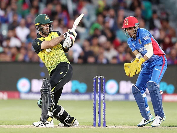 t20 wc maxwells gritty fifty propels australia to 168 8 against afghanistan jpg – The News Mill