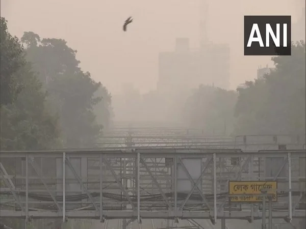 cold wave fog conditions continue to prevail in parts of kolkata – The News Mill