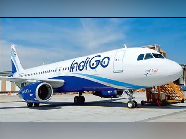 no such altercation took place indigo airlines clarifies mid air brawl – The News Mill