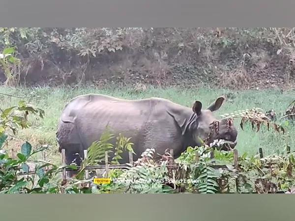 forest officials injured in rhino attack in assams golaghat jpg – The News Mill