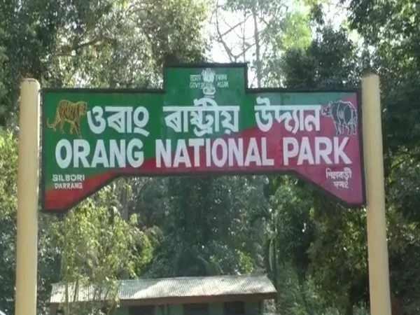 royal bengal tiger found dead in assams orang national park jpg – The News Mill
