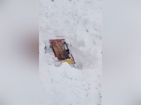 five cars buried in snow after avalanche occurs near zojila pass in ladakh no casualties – The News Mill