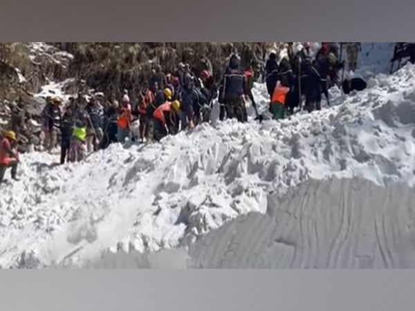sikkim rescue operations resume at avalanche site in nathu la – The News Mill