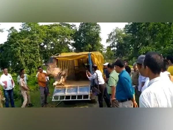 assam vultures affected due to poisoning in sivasagar released after treatment – The News Mill