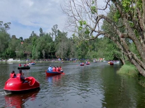 tamil nadu tourist footfall increases during summer festival in kodaikanal – The News Mill