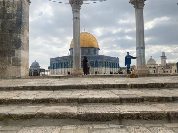 2 israelis arrested for trying to offer animal sacrifice on temple mount – The News Mill