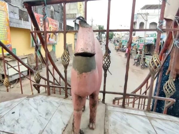 locals protest after camel statue in front of hanuman idol vandalised in andhras achampet – The News Mill