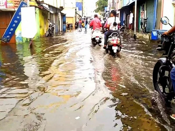 tamil nadu heavy rains cause waterlogging in parts of coimbatore – The News Mill