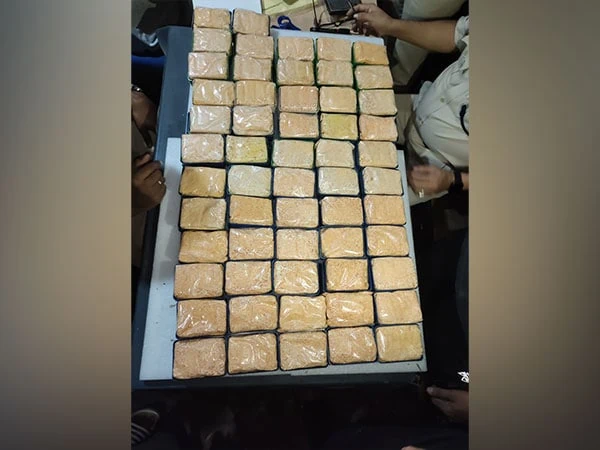 assam stf seizes large quantity of contraband drugs from tinsukia – The News Mill