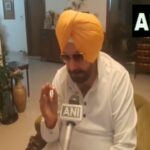 aap came to end mafia in punjab now manager in chief congress navjot singh sidhu – The News Mill