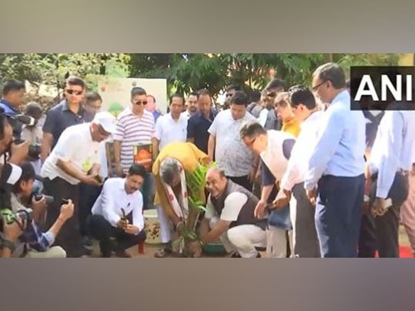 started process of planting 1 crore saplings assam cm sarma on amrit brikshya andolan – The News Mill