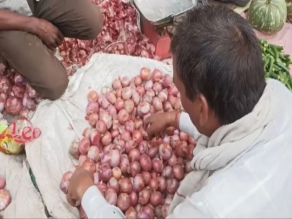 consumer affairs dept monitoring onion prices on daily basis govt – The News Mill